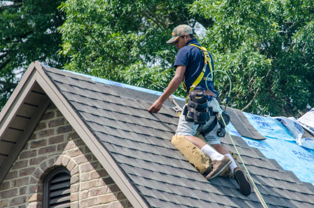 Best Roof Maintenance Services  in Shawsville, VA